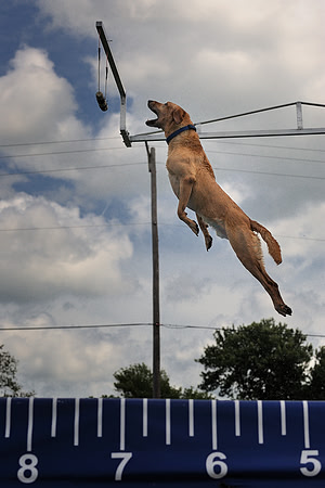 High jump