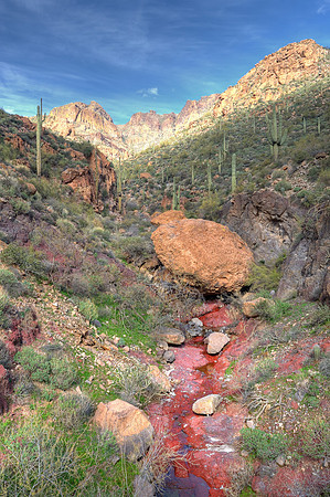 Desert landscape (HDR)