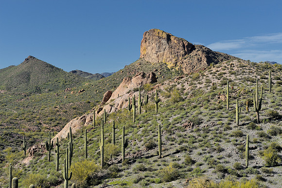 Desert landscape