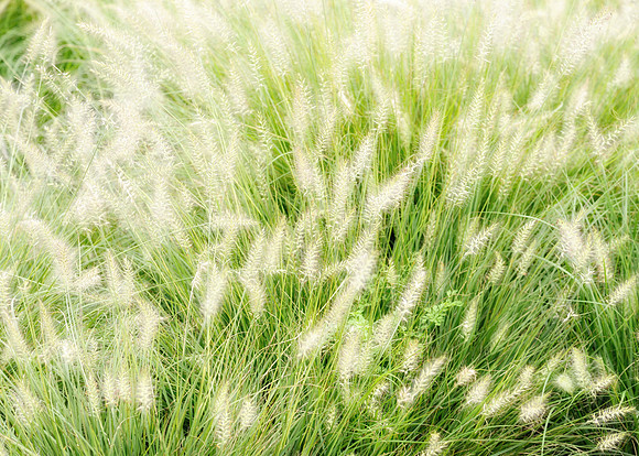 Blowing in the wind