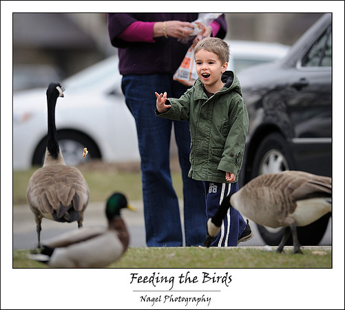 Feeding the ducks