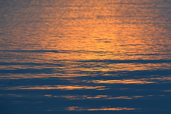 Sunset water ripples