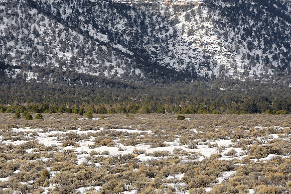 Desert meets mountain in winter