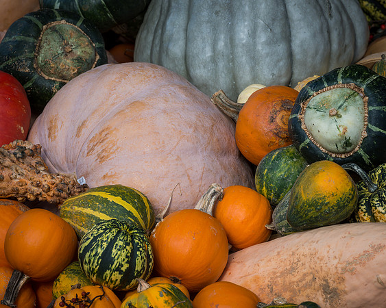 Autumn nursery