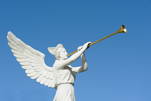 Angel trumpeter