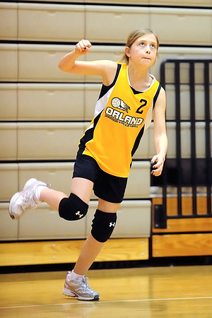 Allison Nagel