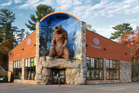 The Bear Company