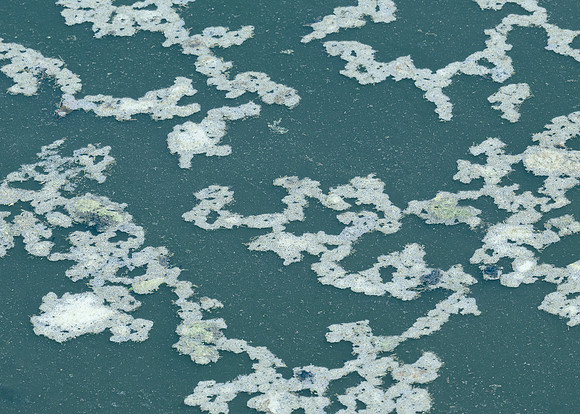 Water Bubbles