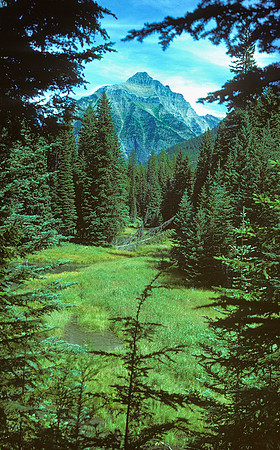 Glacier National Park
