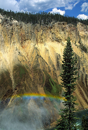 Rainbow wall