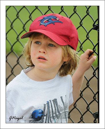 Young Phillies' fan