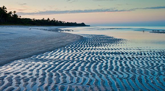 Low tide