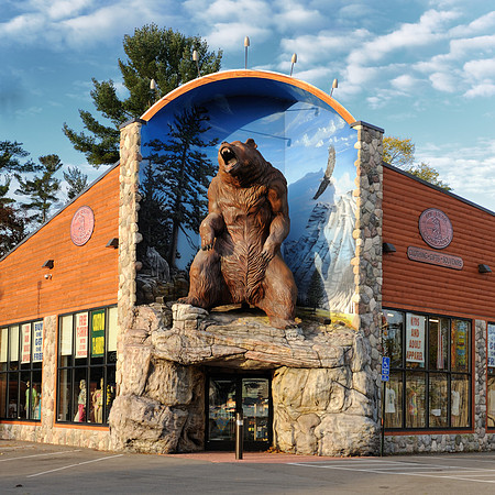 The Bear Company