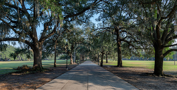 Forysth Park