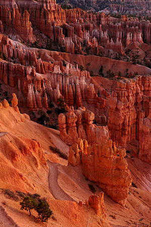 Bryce Canyon