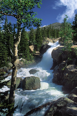 Alberta Falls