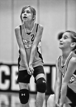 Allison Nagel