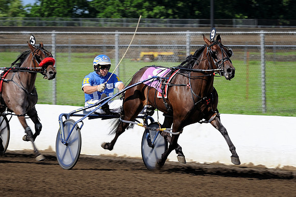 Harness racing