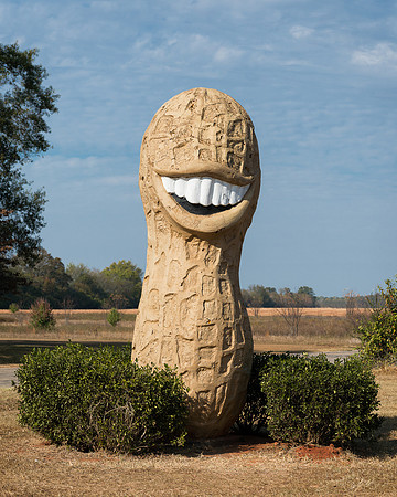 Giant peanut