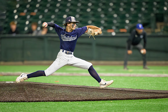 Palomino Baseball