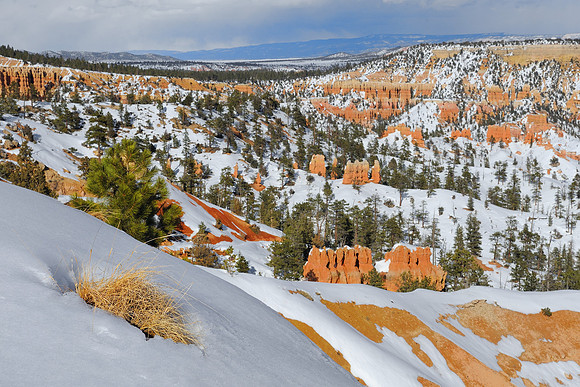 Bryce National Park (Sunrise Point)