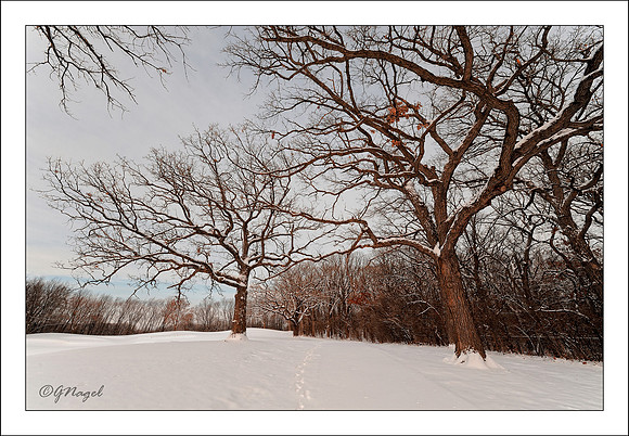 Winter landscape on 18th hole