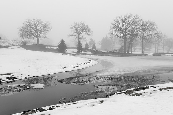 Icy pond