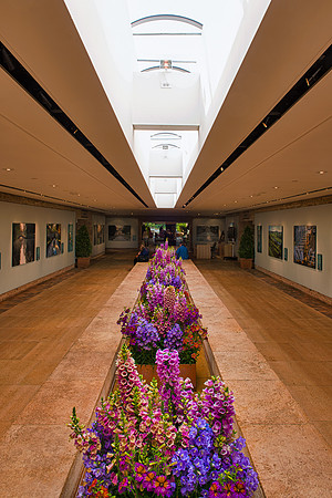 Flowers under skylight