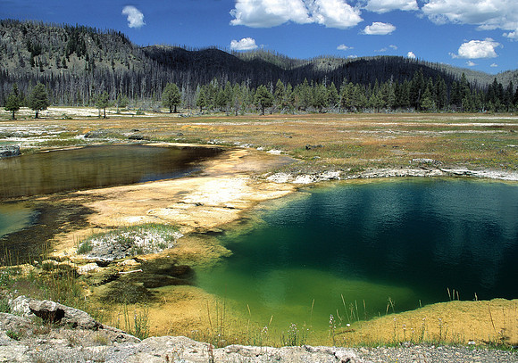 Pools of color