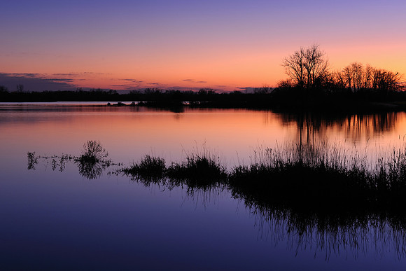 Lake Sedgewick
