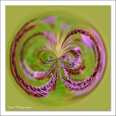Strands of purple (square version)
