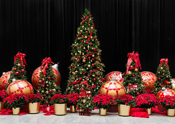 Christmas decorations