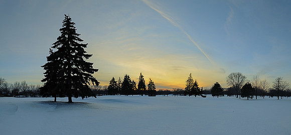 Winter spruce landscape (HDR and Panoramic)