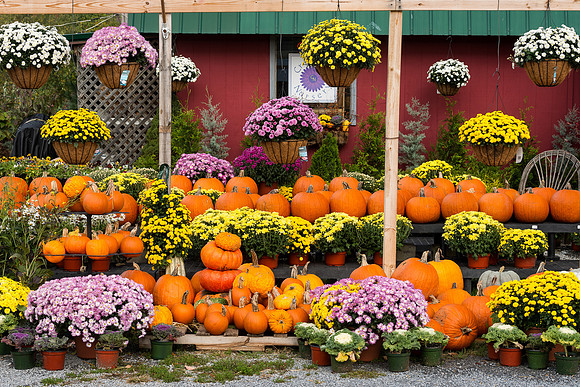 Autumn nursery