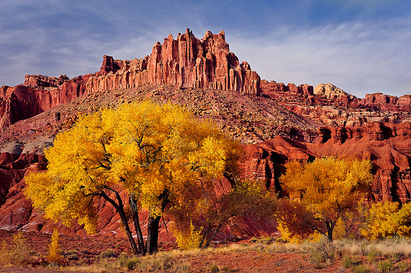 Autumn at the Castle