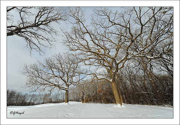 Winter landscape on the 18th hole