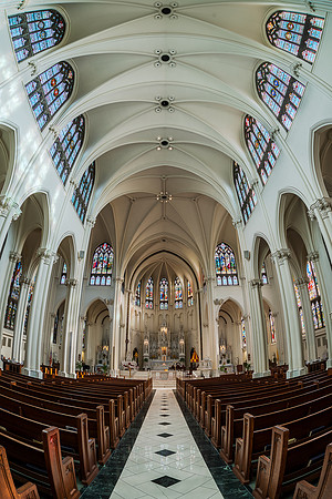 Cathedral of the Immaculate Conception