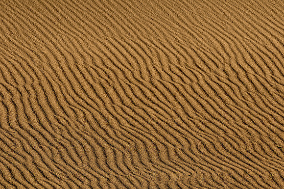Sand ripples