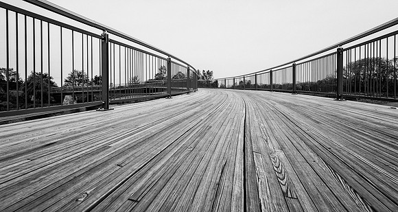 The Trellis Bridge
