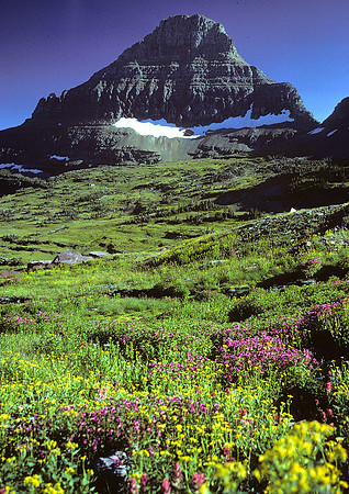 Glacier National Park