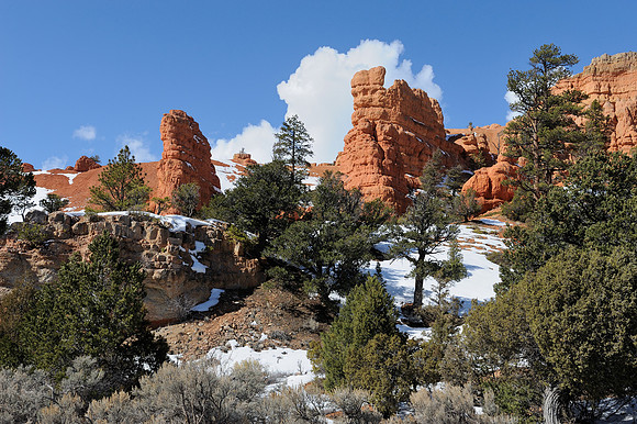 Red rocks
