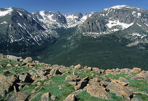 Foreest Canyon overlook