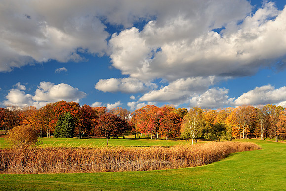 Autumn landscape