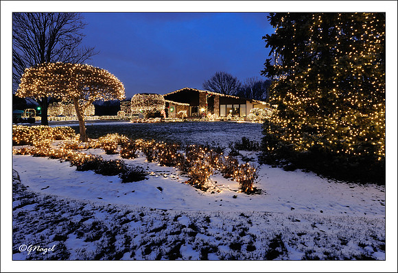 Fenn house