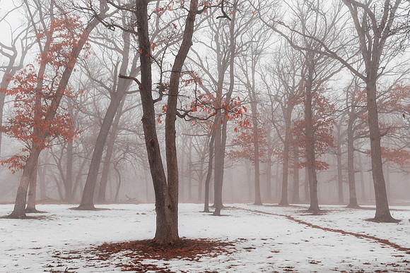 A touch of autumn