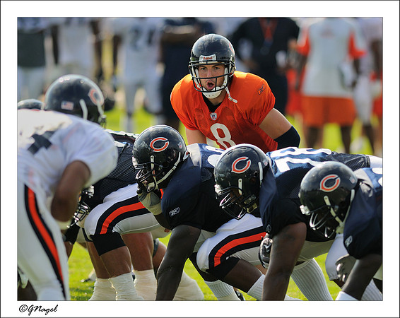 Rex Grossman