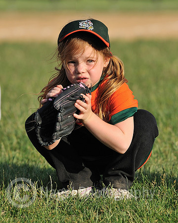 OYA softball All Stars- Widgets 6 pm