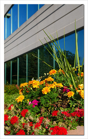 Orland Office Center III