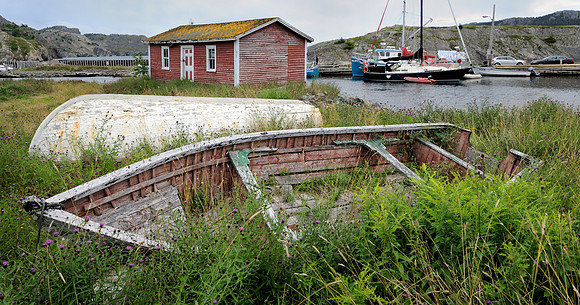 Boat in grass