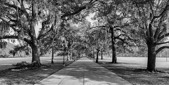 Forysth Park